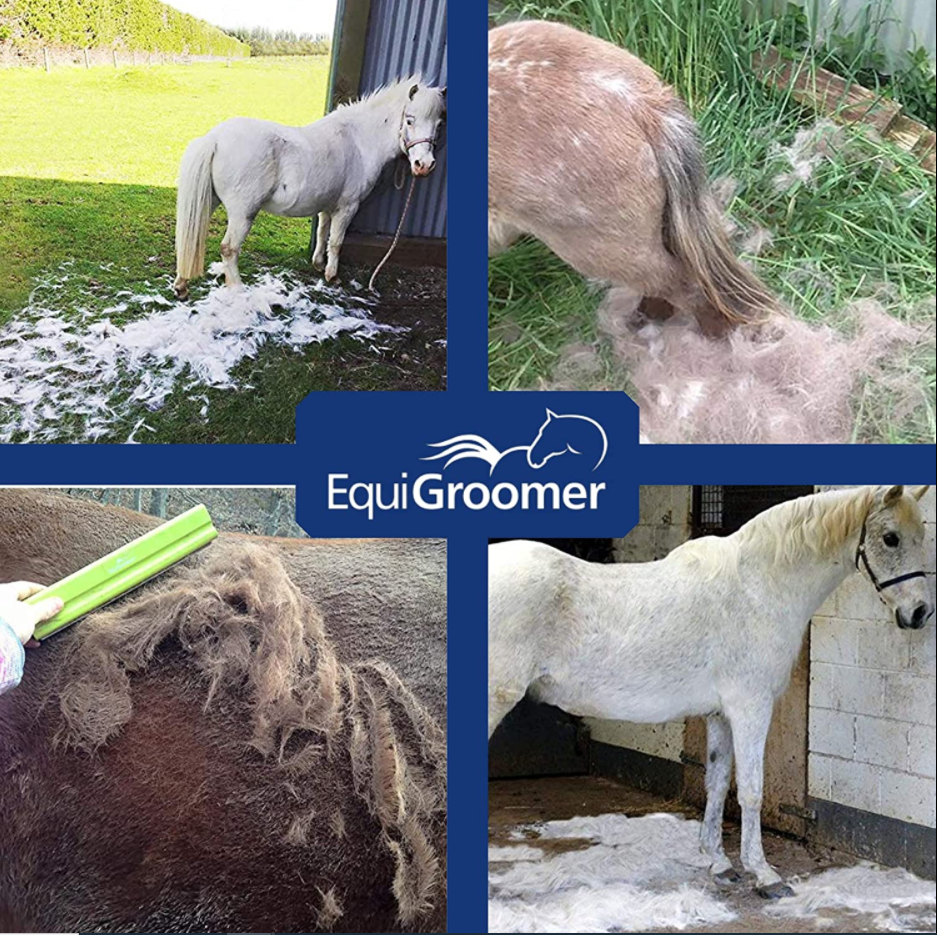 EquiGroomer Tools for Horses