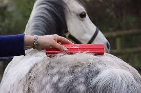 Woman brushing a gray and white horse with an EquiGroomer Shedding Tool