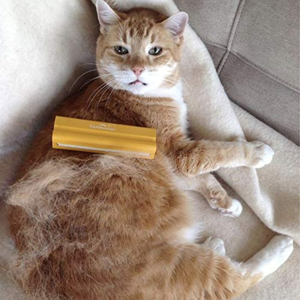 Tabby Cat Laying on a Couch being groomed with an EasyGroomer tool