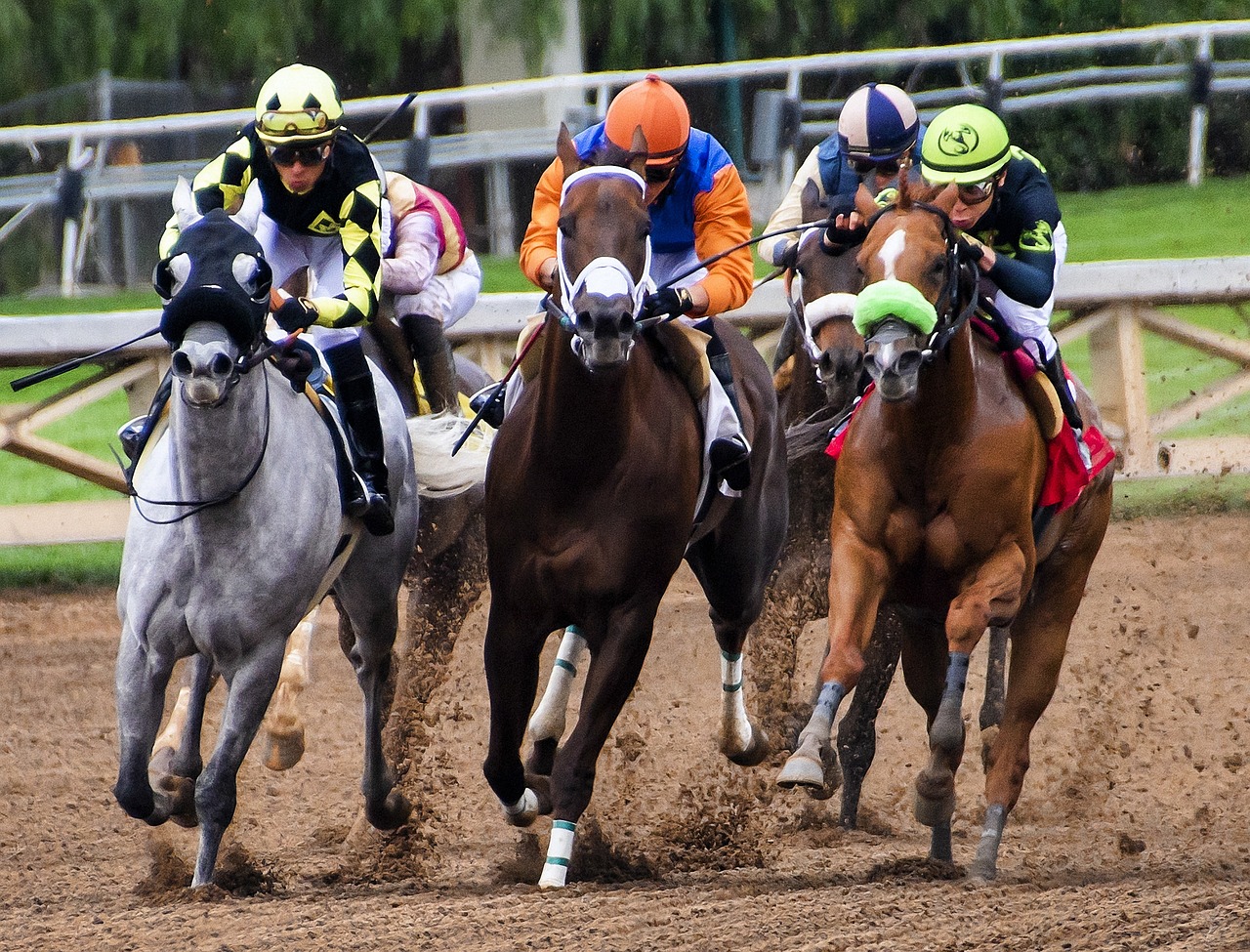 Horse Racing on a Dirt Track