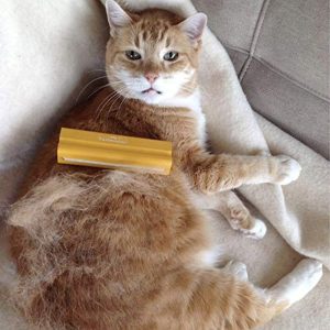 An orange and white cat laying on a couch being brushed with an EasyGroomer tool