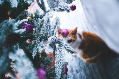 Decorated Christmas tree with tinsel and artificial snow flocking that pose choking hazards to cats