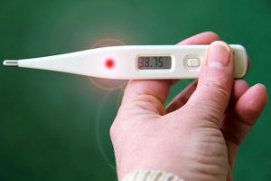 Digital Thermometer for Pets Digital thermometer used to safely take a pet's temperature