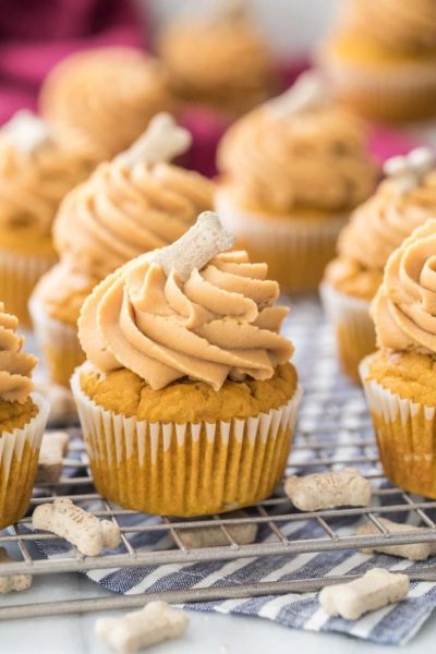 Cupcakes for puppies topped with frosting and a small dog bone
