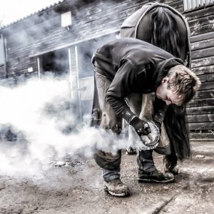 Farrier Shoeing a Horse Farrier fitting a horseshoe during a routine shoeing appointment