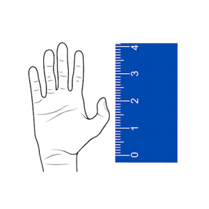 Horse Hand Unit of Measurement Illustration of a hand next to a ruler showing one hand equals four inches