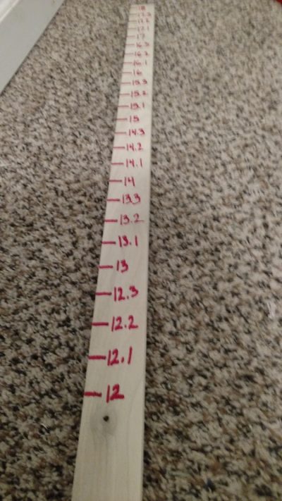 Horse Measuring Stick Hand Markings DIY horse measuring stick with hand height markings written in red from 12 to 18 hands
