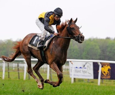 Jockey and horse approaching the finish line wire in a close, undecided race