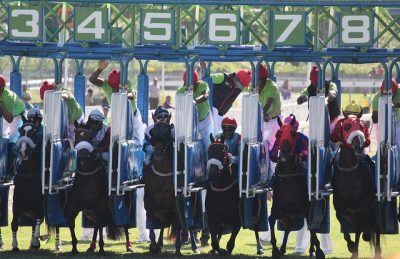 Panoramic view of a horse racing starting gate before the race begins
