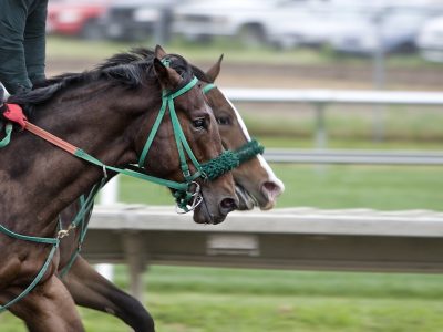 Two horses finishing a race with one winning by the smallest possible margin