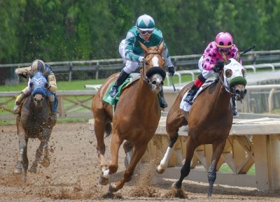 Two horses running side by side in a close race, illustrating the phrase neck and neck