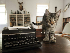Small kitten sitting with a vintage typewriter referencing Ernest Hemingway's love of cats
