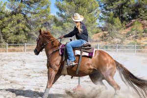 Performance Horse on Rough Terrain Horse competing in barrel racing on outdoor arena footing