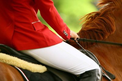 Rider Using Soft Hand Contact on the Reins Close-up of a rider's hands holding the reins with soft contact on a horse