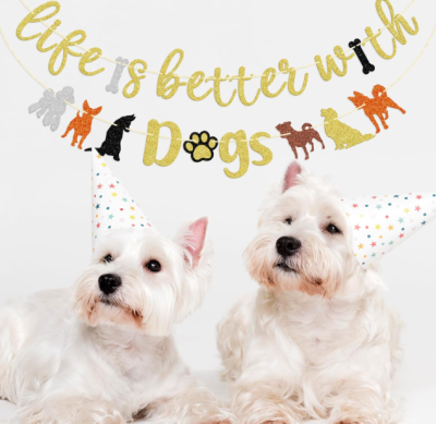 Two Westie puppies wearing party hats under a banner