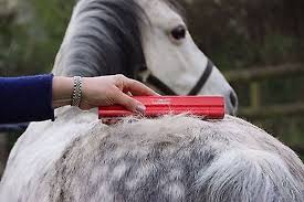 Hand using the red EquiGroomer brush on a gray and white horse's back