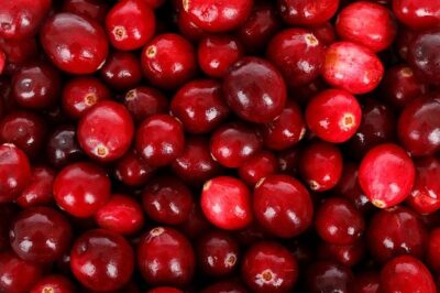 Fresh red cranberries